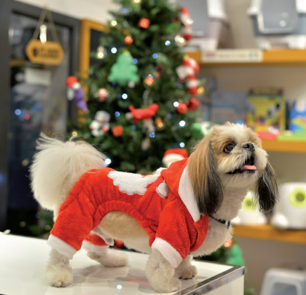 Gulf Weekly Festive treats for pets