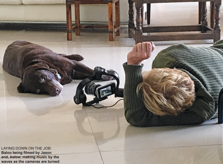 Gulf Weekly Baloo now making movies