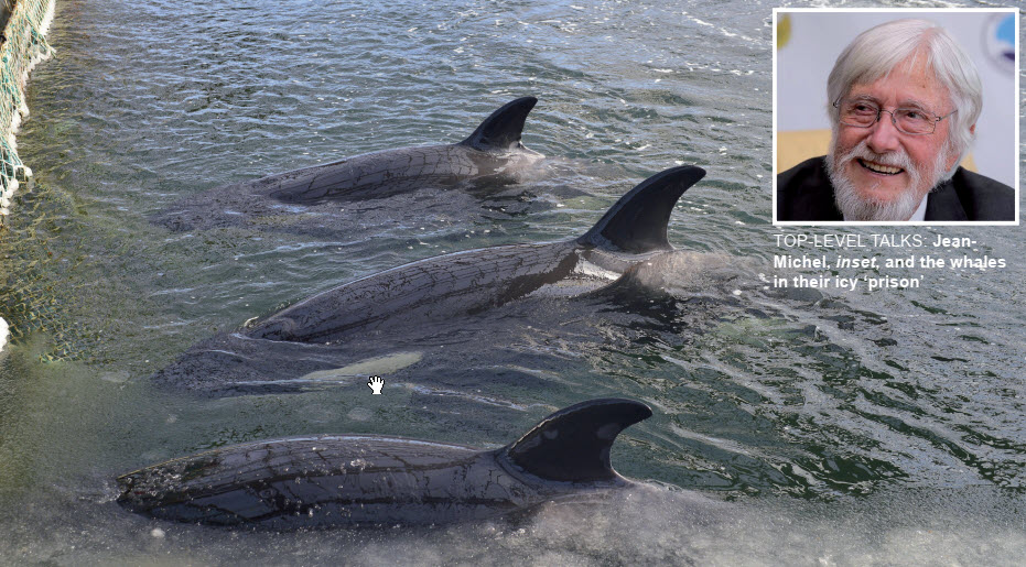 Gulf Weekly SAVE THE WHALES