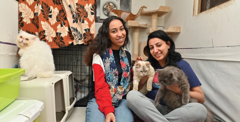 Gulf Weekly PET PASSION PROJECT