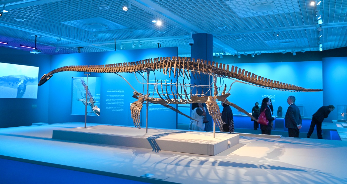 Gulf Weekly Dive into the prehistoric 