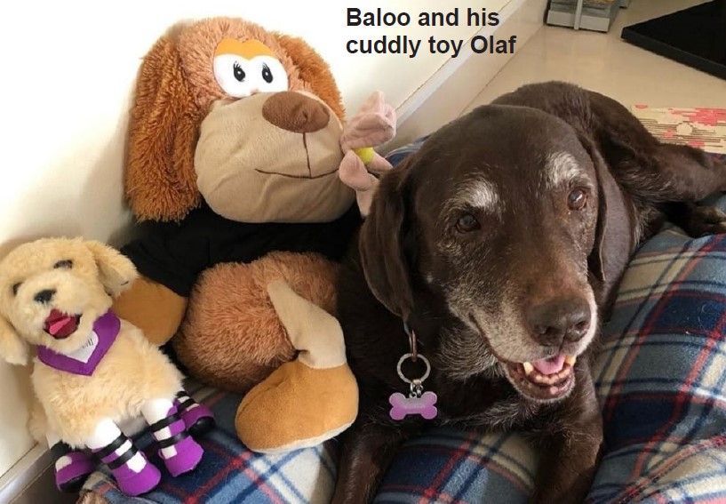 Gulf Weekly Baloo bids adieu 