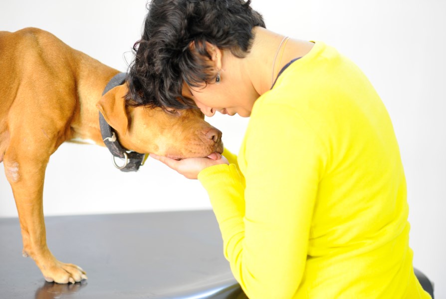 Gulf Weekly Prescribing pets