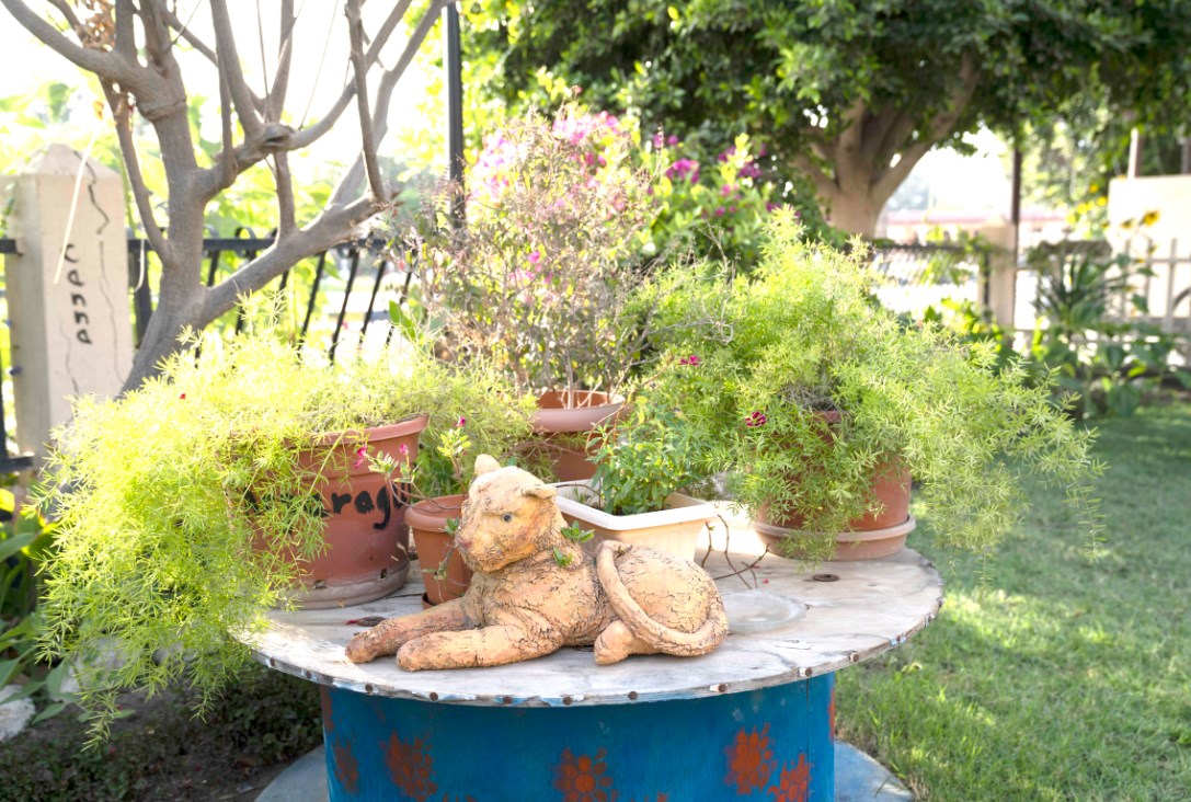 Gulf Weekly Just rewards for a green eco-system