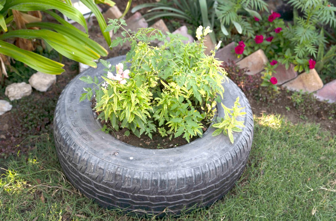 Gulf Weekly Just rewards for a green eco-system