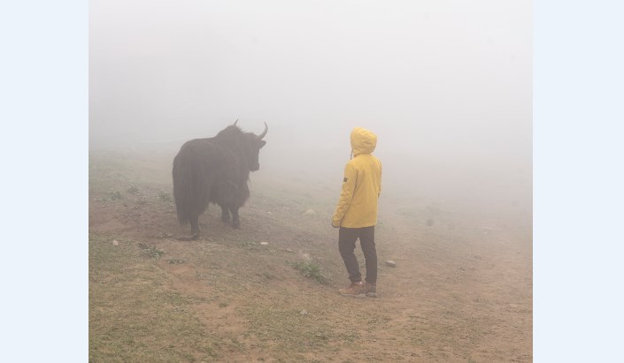 Gulf Weekly Top of the world