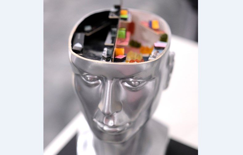 Gulf Weekly Mapping the mind