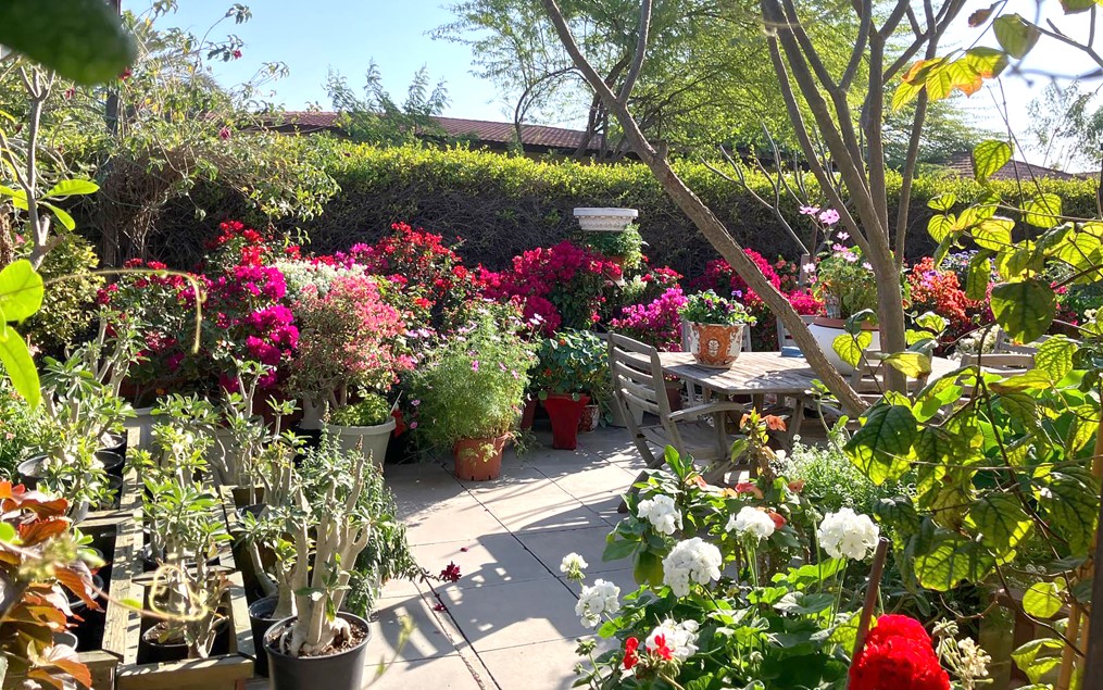 Gulf Weekly Bound by blooms