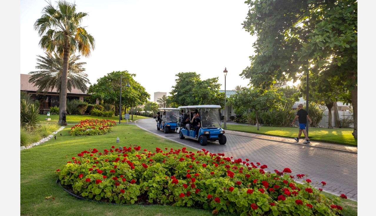 Gulf Weekly Green fingers