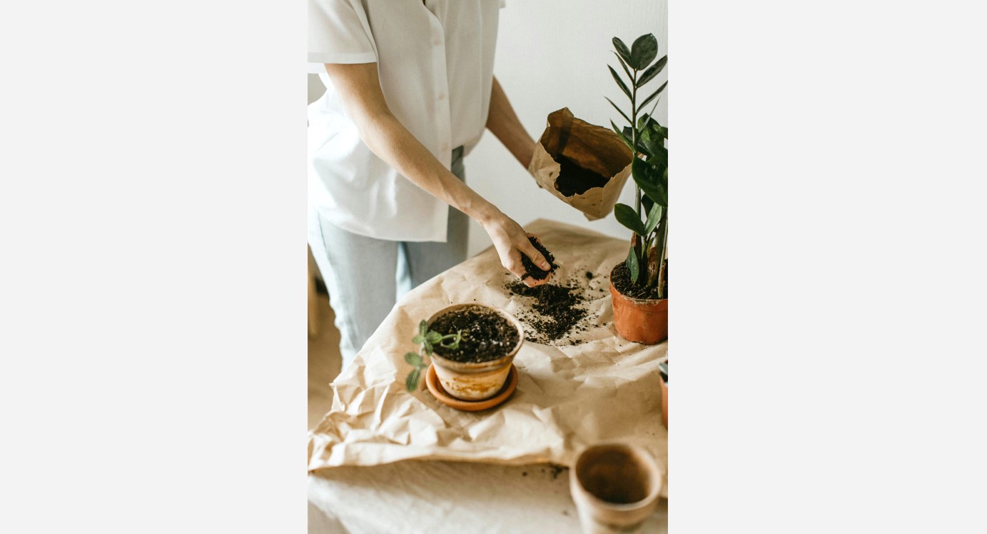 Gulf Weekly How does your garden grow?